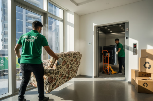 The Role of Junk Collection in Sustainable Living